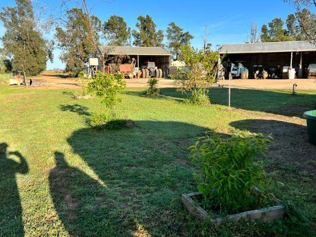 Farm 636, McLarty Road, Coleambally Sold by Farmbuy.com - image 42