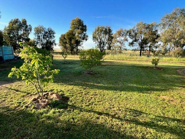 Farm 636, McLarty Road, Coleambally Sold by Farmbuy.com - image 21