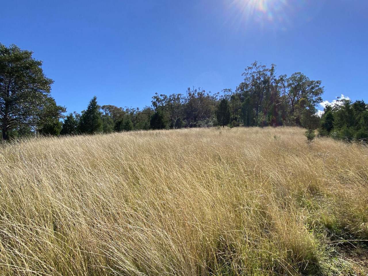 Watson Creek Via Manilla Sold by Farmbuy.com - image 19