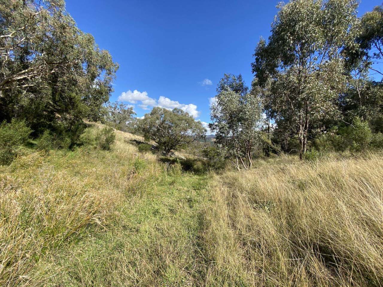 Watson Creek Via Manilla Sold by Farmbuy.com - image 24