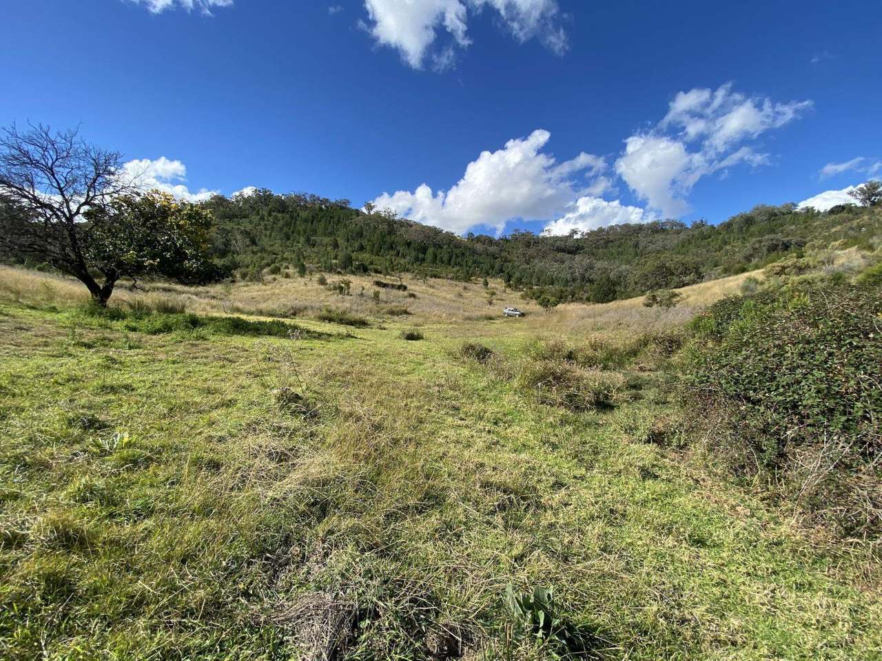 Watson Creek Via Manilla Sold by Farmbuy.com - image 22