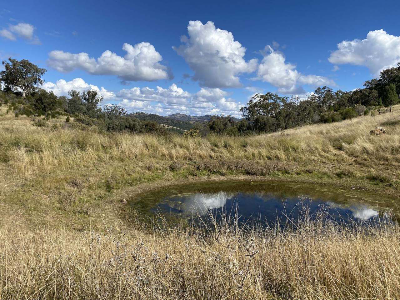 Watson Creek Via Manilla Sold by Farmbuy.com - image 10