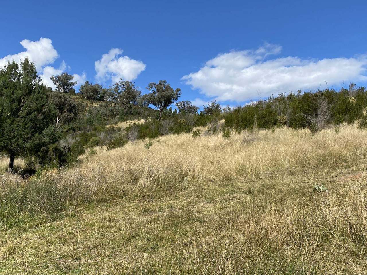 Watson Creek Via Manilla Sold by Farmbuy.com - image 21