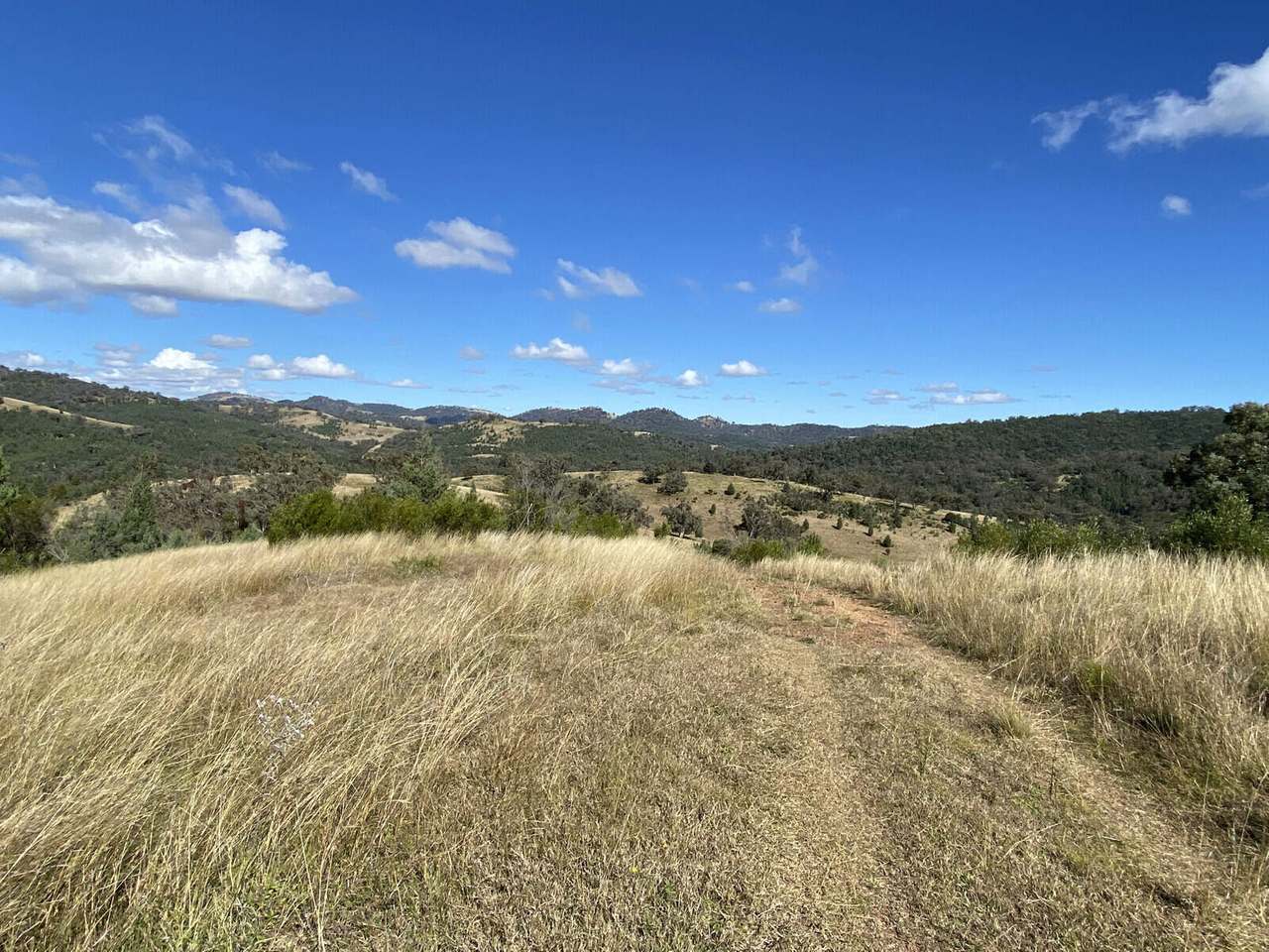 Watson Creek Via Manilla Sold by Farmbuy.com - image 25