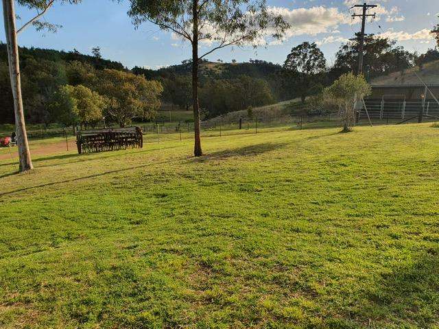 Watson Creek Via Manilla Sold by Farmbuy.com - image 26