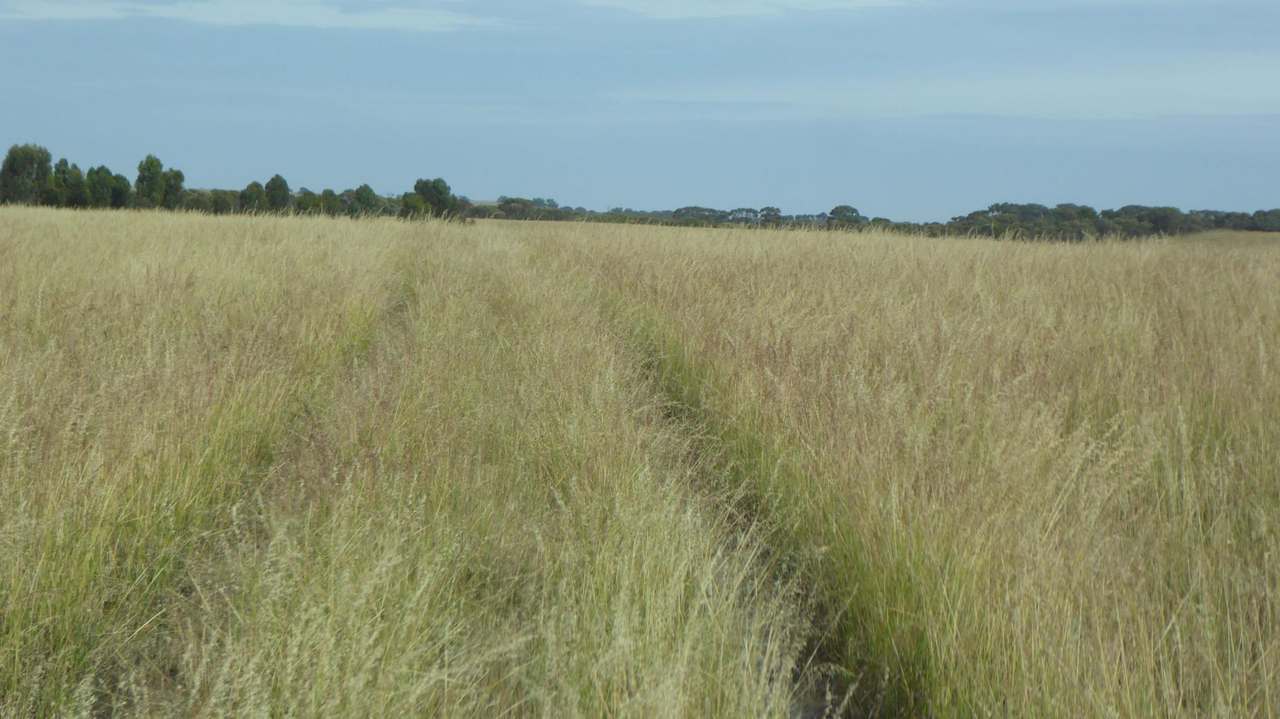 ***Under Offer*** "Carcuma 17" 1703 Jabuk South Road, Carcuma Sold by Farmbuy.com - image 2