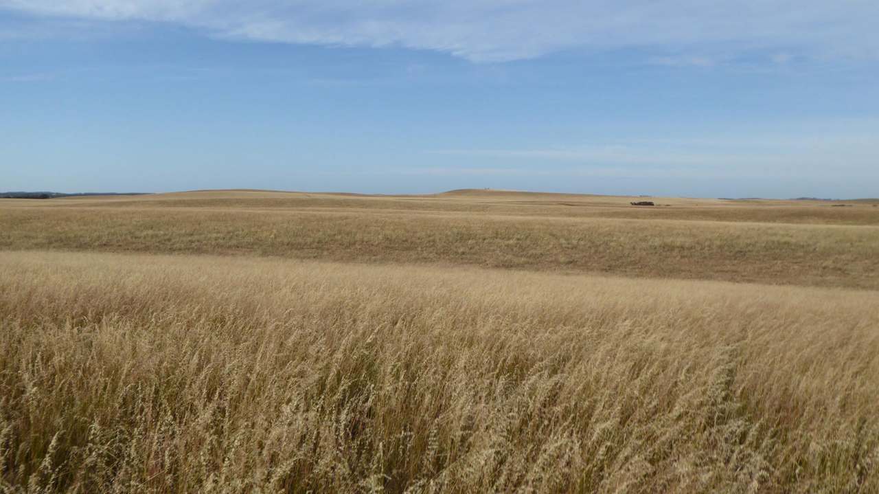 ***Under Offer*** "Carcuma 17" 1703 Jabuk South Road, Carcuma Sold by Farmbuy.com - image 9