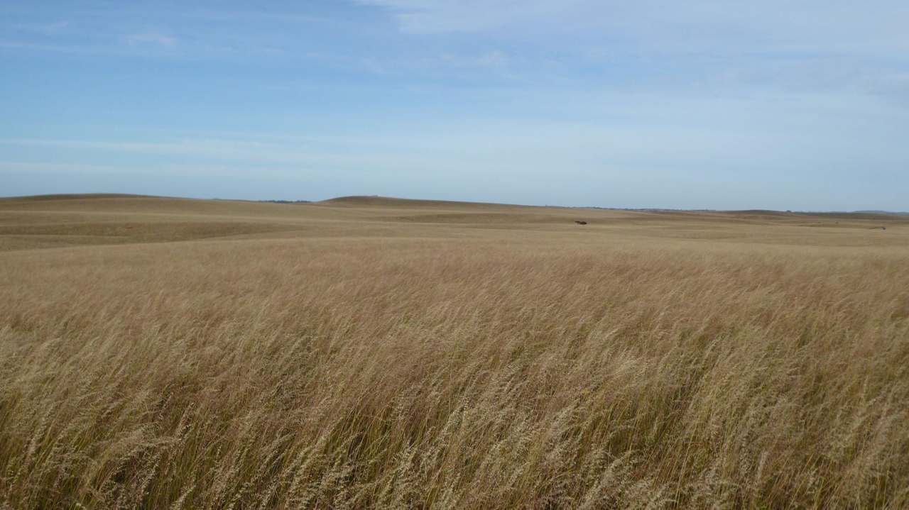 ***Under Offer*** "Carcuma 17" 1703 Jabuk South Road, Carcuma Sold by Farmbuy.com - image 4