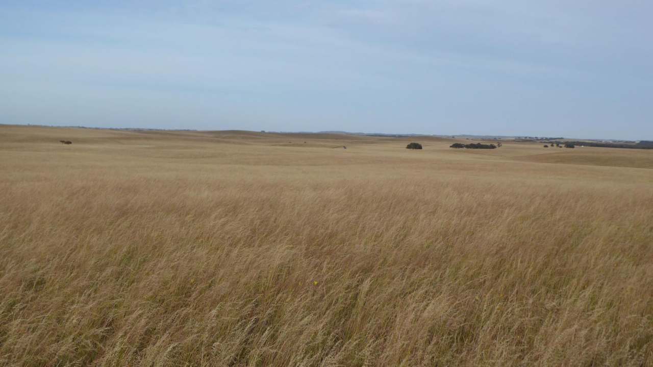 ***Under Offer*** "Carcuma 17" 1703 Jabuk South Road, Carcuma Sold by Farmbuy.com - image 10