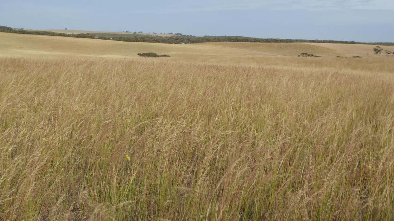 ***Under Offer*** "Carcuma 17" 1703 Jabuk South Road, Carcuma Sold by Farmbuy.com - image 24