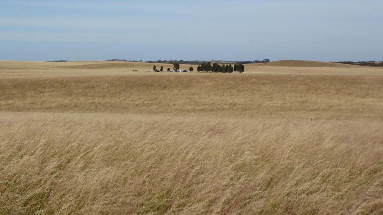 ***Under Offer*** "Carcuma 17" 1703 Jabuk South Road, Carcuma Sold by Farmbuy.com - image 23