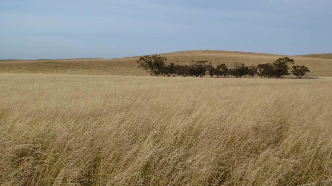 ***Under Offer*** "Carcuma 17" 1703 Jabuk South Road, Carcuma Sold by Farmbuy.com - image 16