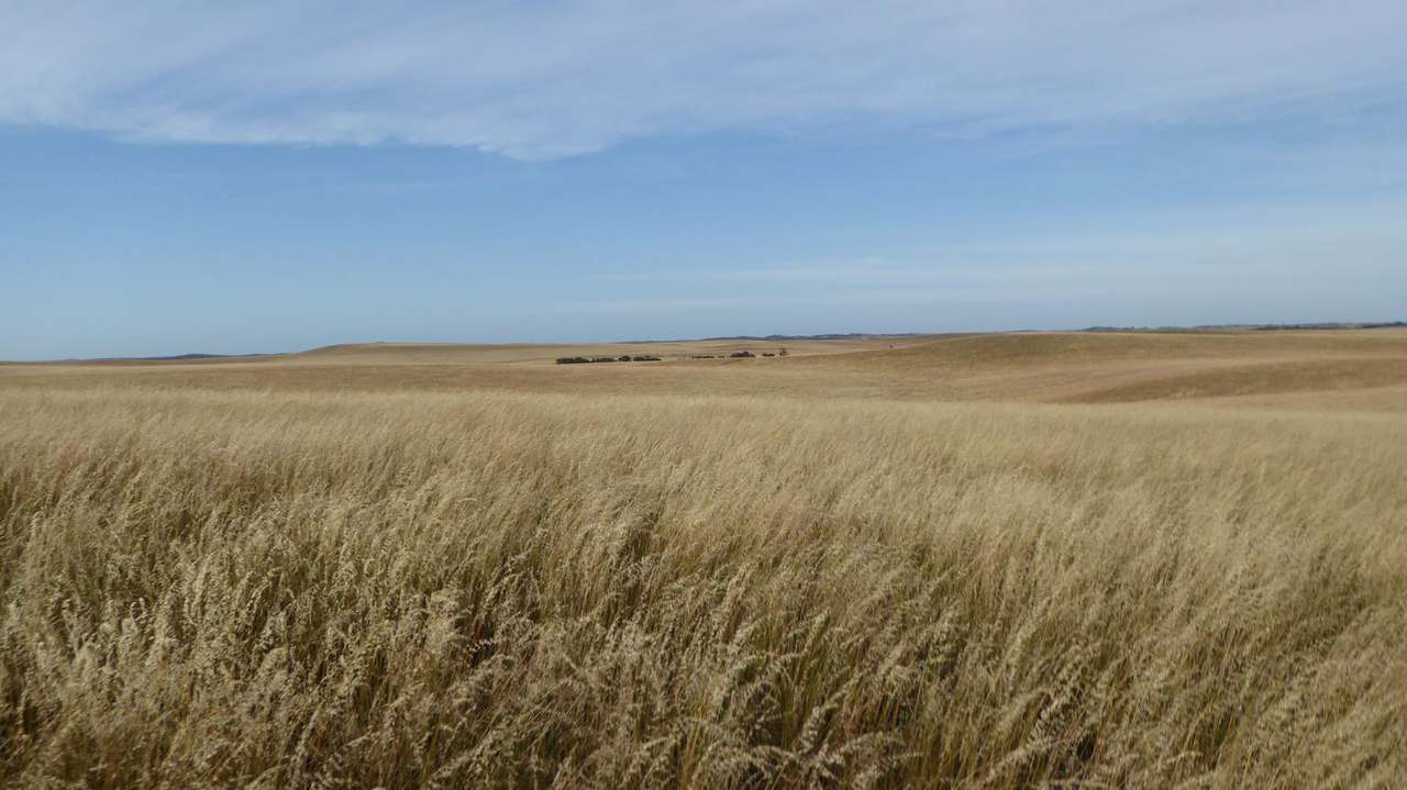 ***Under Offer*** "Carcuma 17" 1703 Jabuk South Road, Carcuma Sold by Farmbuy.com - image 20