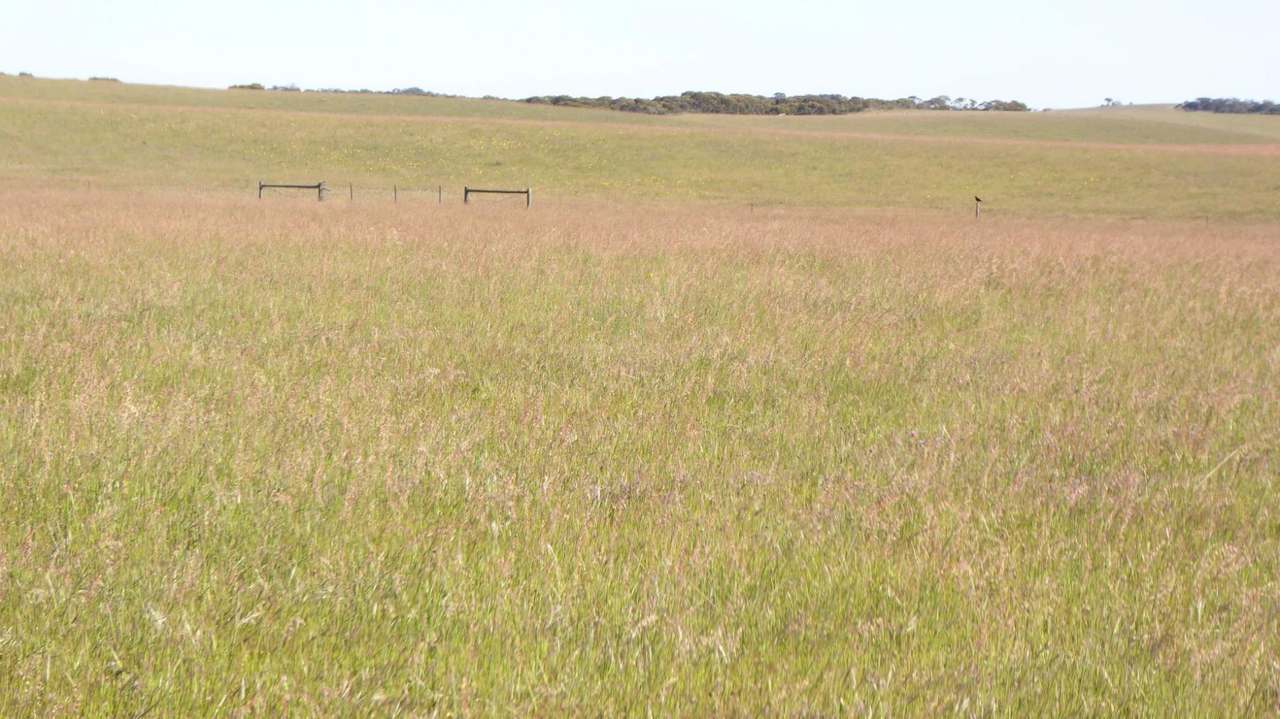 ***Under Offer*** "Carcuma 17" 1703 Jabuk South Road, Carcuma Sold by Farmbuy.com - image 6