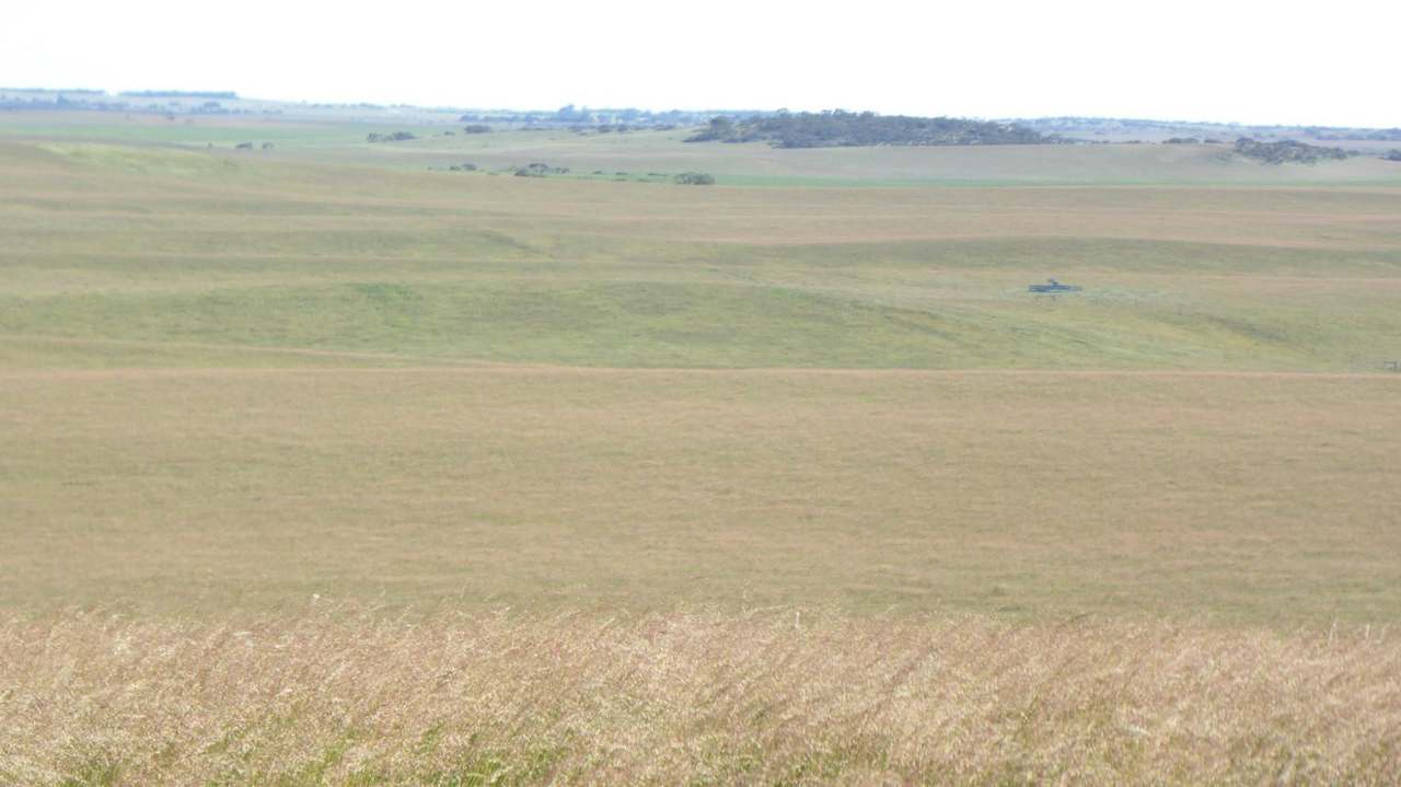***Under Offer*** "Carcuma 17" 1703 Jabuk South Road, Carcuma Sold by Farmbuy.com - image 5