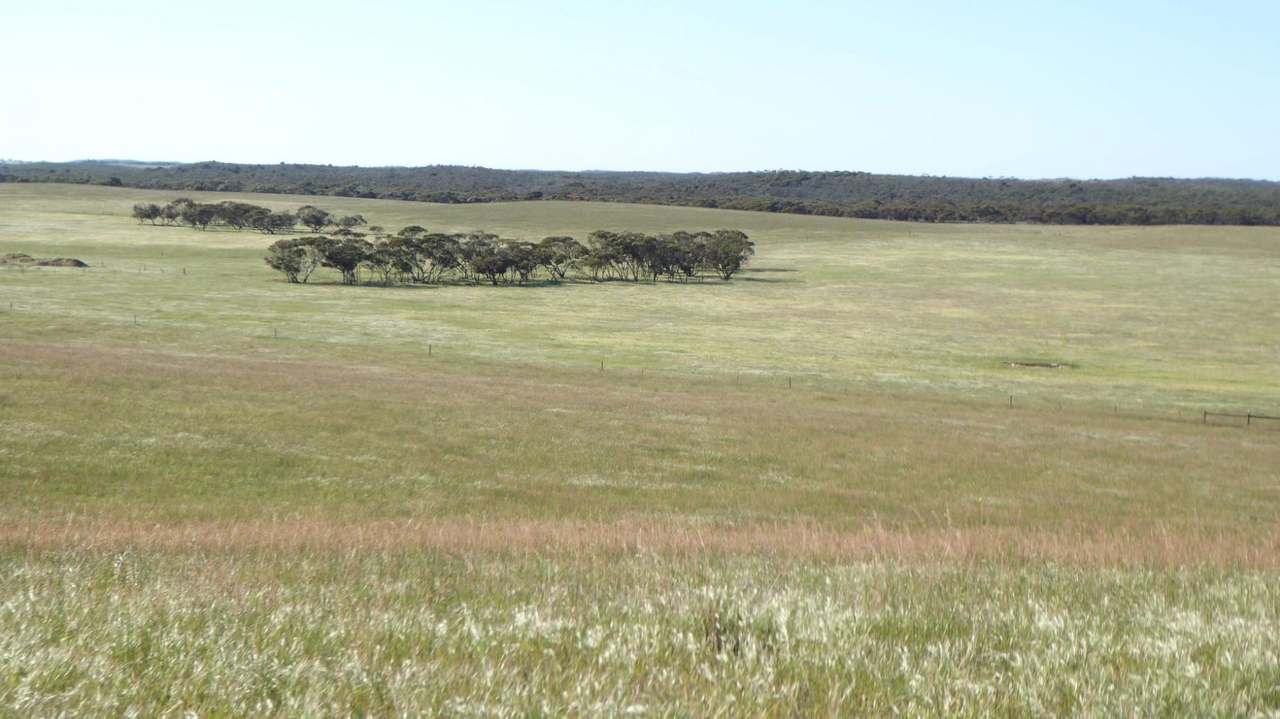 ***Under Offer*** "Carcuma 17" 1703 Jabuk South Road, Carcuma Sold by Farmbuy.com - image 3
