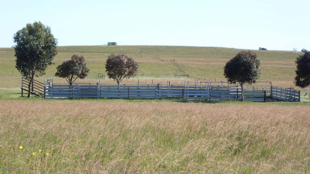 ***Under Offer*** "Carcuma 17" 1703 Jabuk South Road, Carcuma Sold by Farmbuy.com - image 21