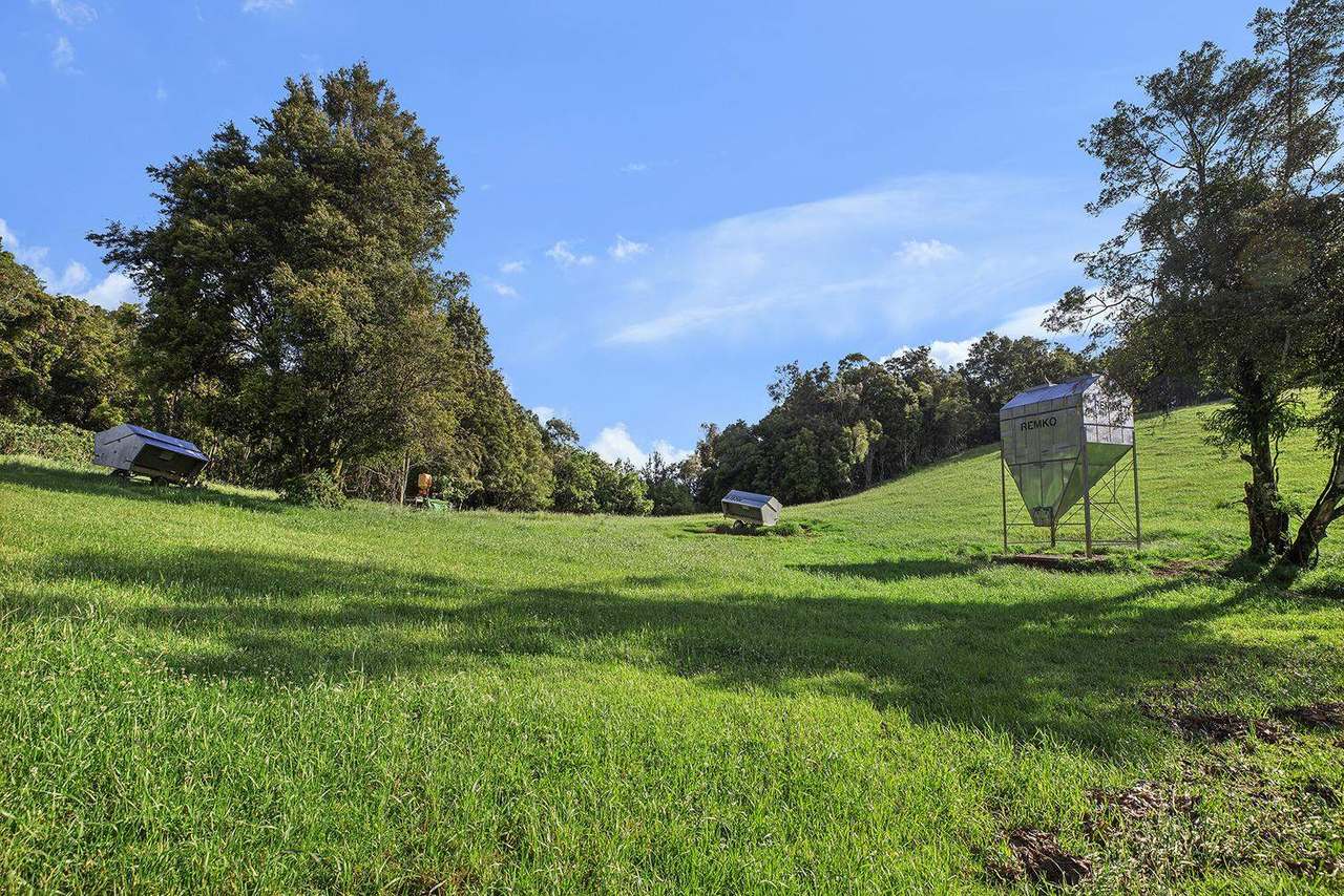 731 Maynards Plains Road , Dorrigo For Sale by Farmbuy.com - image 12