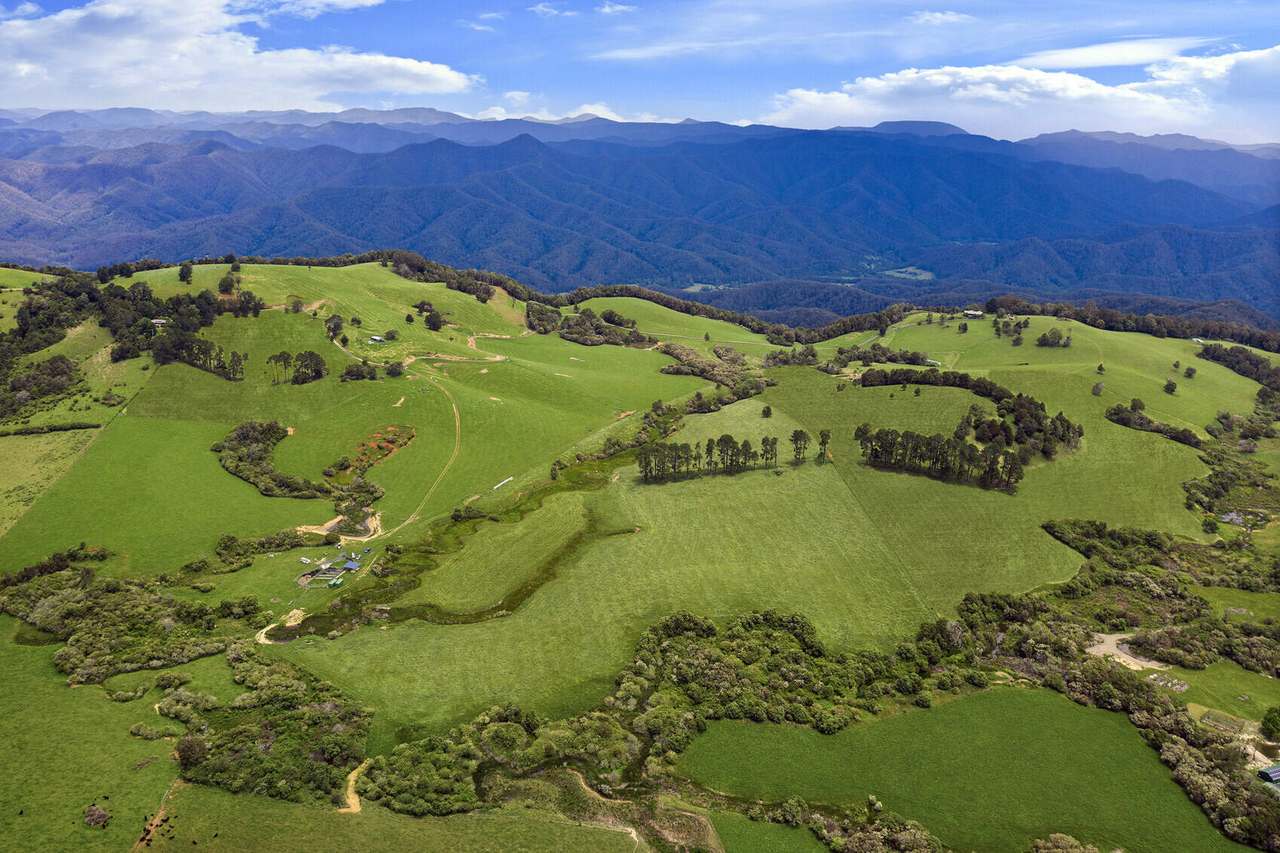 731 Maynards Plains Road , Dorrigo For Sale by Farmbuy.com - image 4