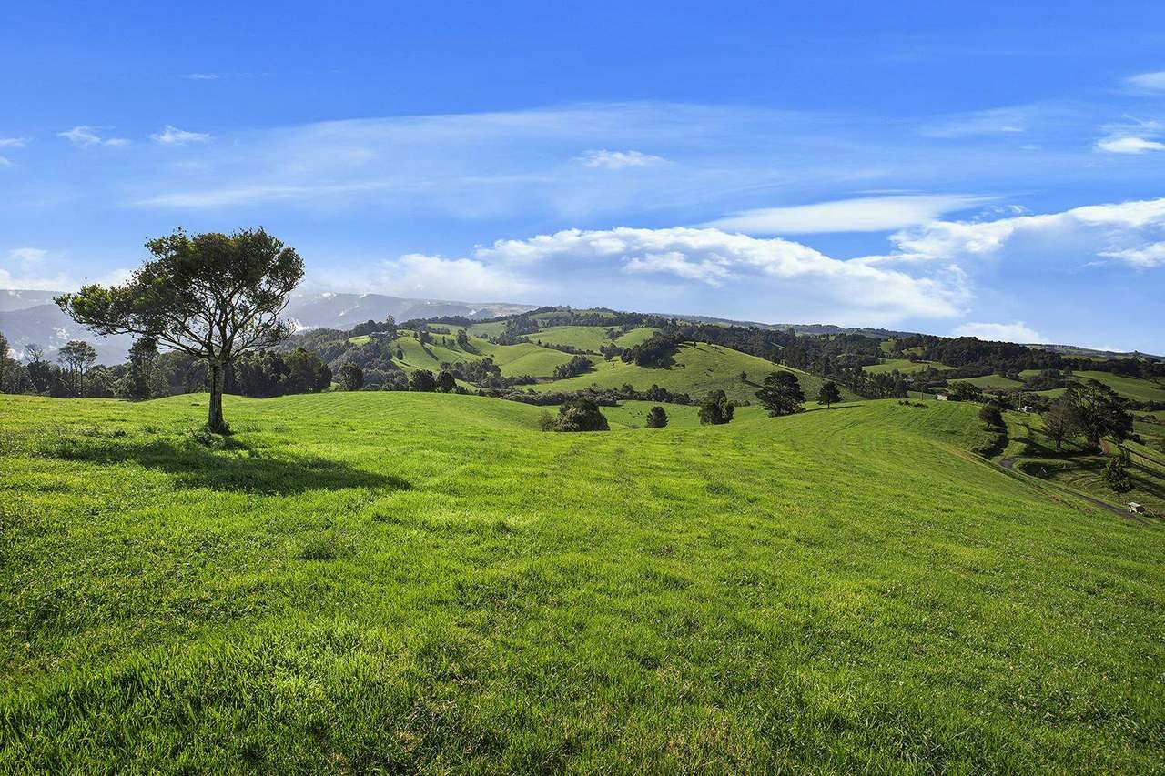 731 Maynards Plains Road , Dorrigo For Sale by Farmbuy.com - image 13