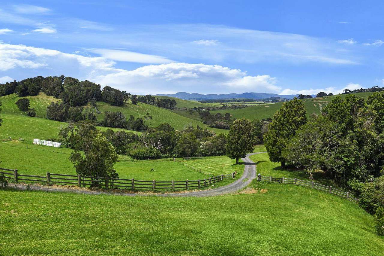 731 Maynards Plains Road , Dorrigo For Sale by Farmbuy.com - image 18