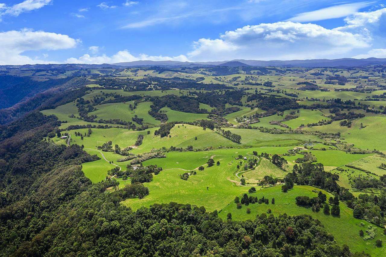 731 Maynards Plains Road , Dorrigo For Sale by Farmbuy.com - image 17