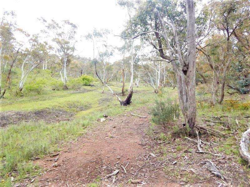 8 Lyrebird Lane, Wambrook Sold by Farmbuy.com - image 20