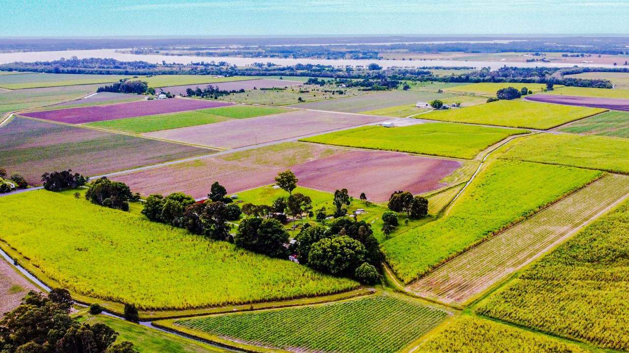 Lot 104 Nicholsons Lane , Harwood For Sale by Farmbuy.com - image 6
