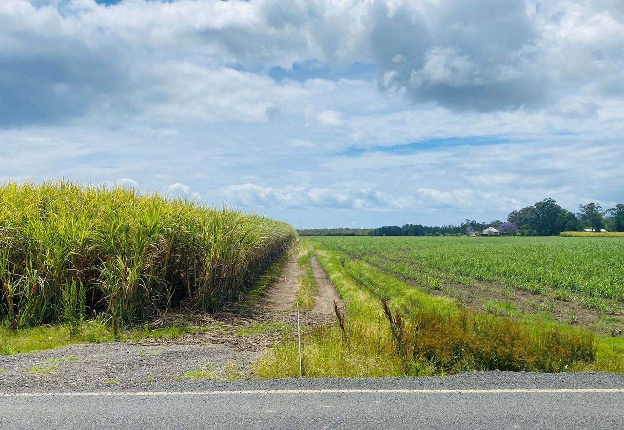 Lot 104 Nicholsons Lane , Harwood For Sale by Farmbuy.com - image 2