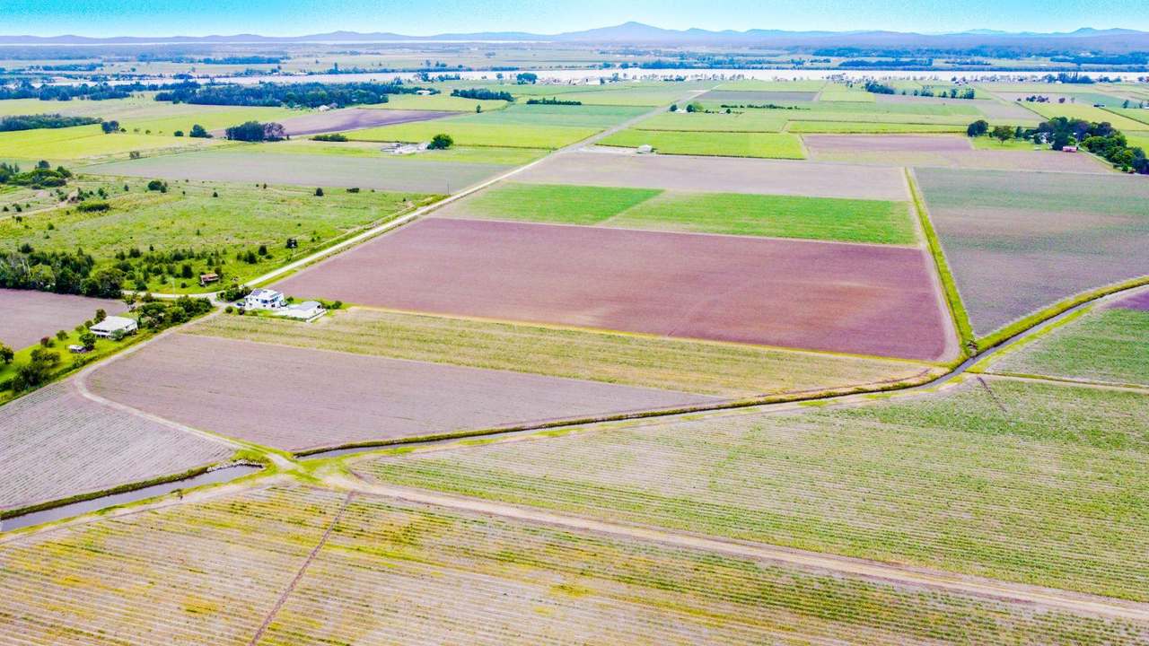 Lot 104 Nicholsons Lane , Harwood For Sale by Farmbuy.com - image 7