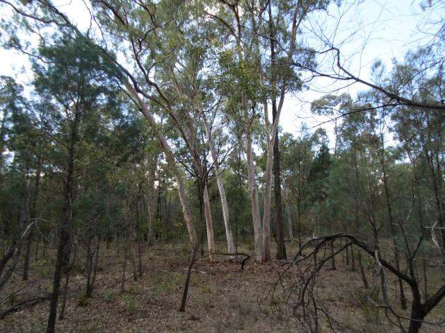 Lot 18 Wieambilla Road, Wieambilla For Sale by Farmbuy.com - image 6