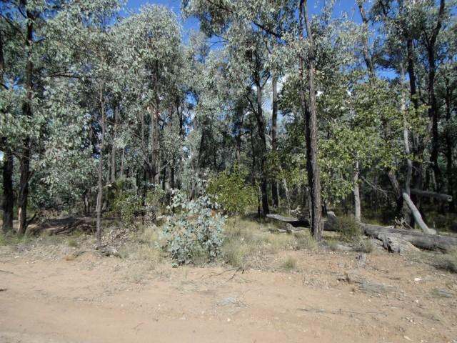 Lot 18 Wieambilla Road, Wieambilla For Sale by Farmbuy.com - image 9