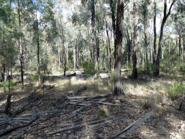 Lot 18 Wieambilla Road, Wieambilla For Sale by Farmbuy.com - image 4