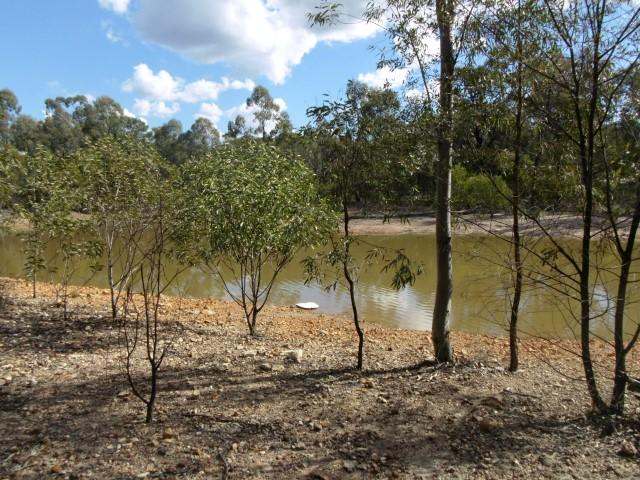 Lot 18 Wieambilla Road, Wieambilla For Sale by Farmbuy.com - image 5