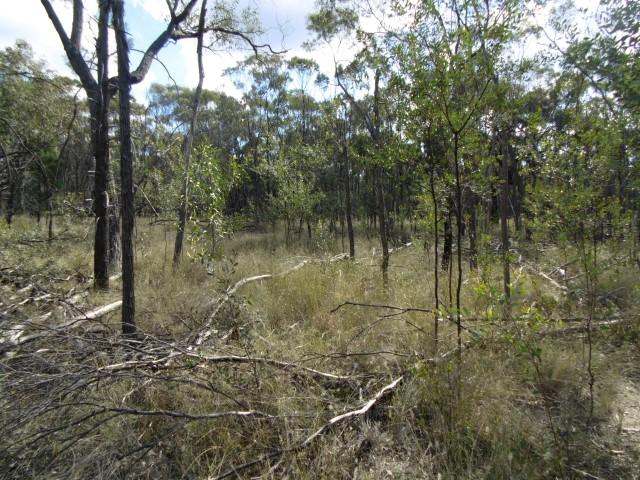 Lot 18 Wieambilla Road, Wieambilla For Sale by Farmbuy.com - image 7