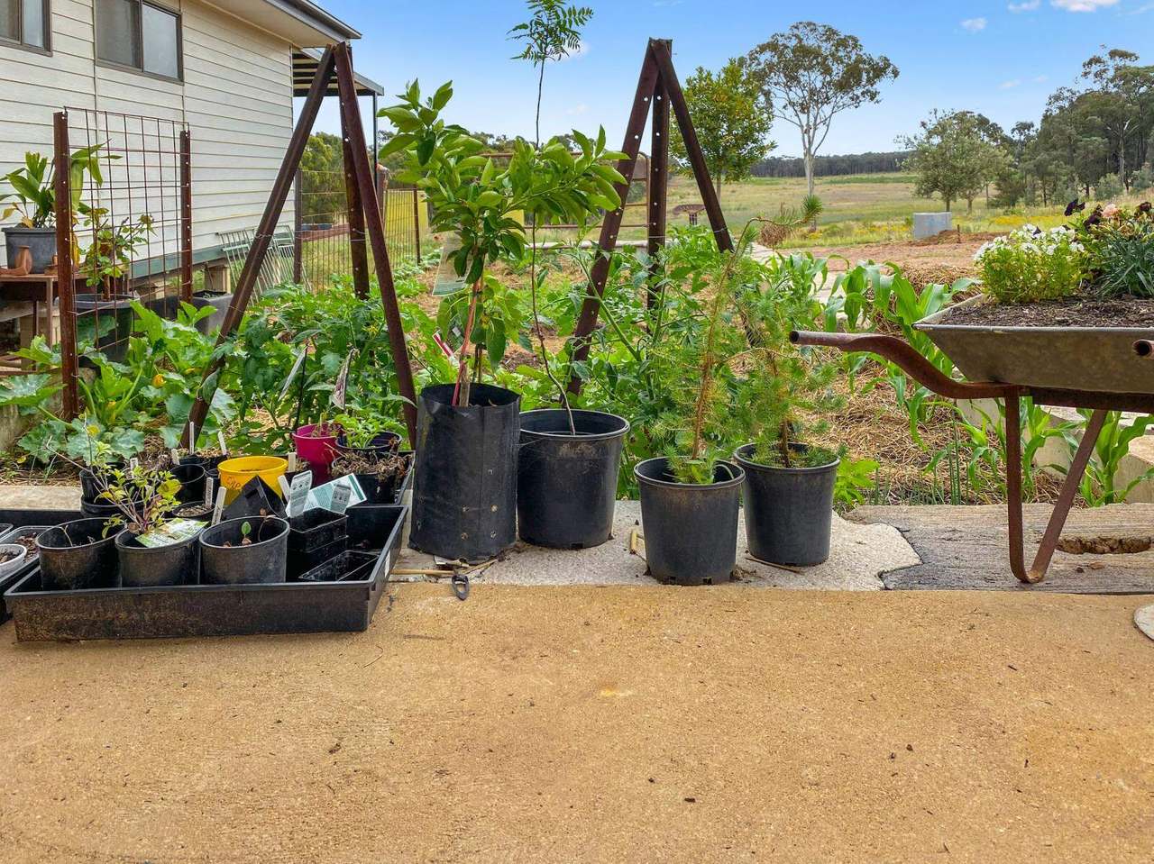 Cobbora For Sale by Farmbuy.com - image 14