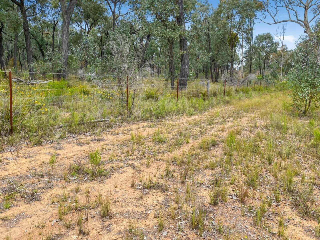Cobbora For Sale by Farmbuy.com - image 25