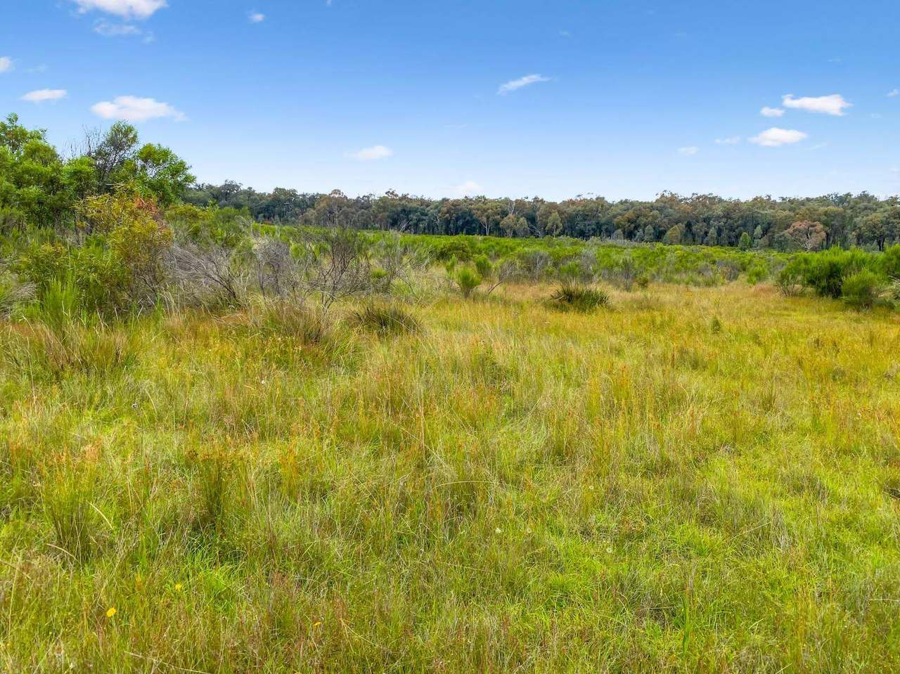 Cobbora For Sale by Farmbuy.com - image 19