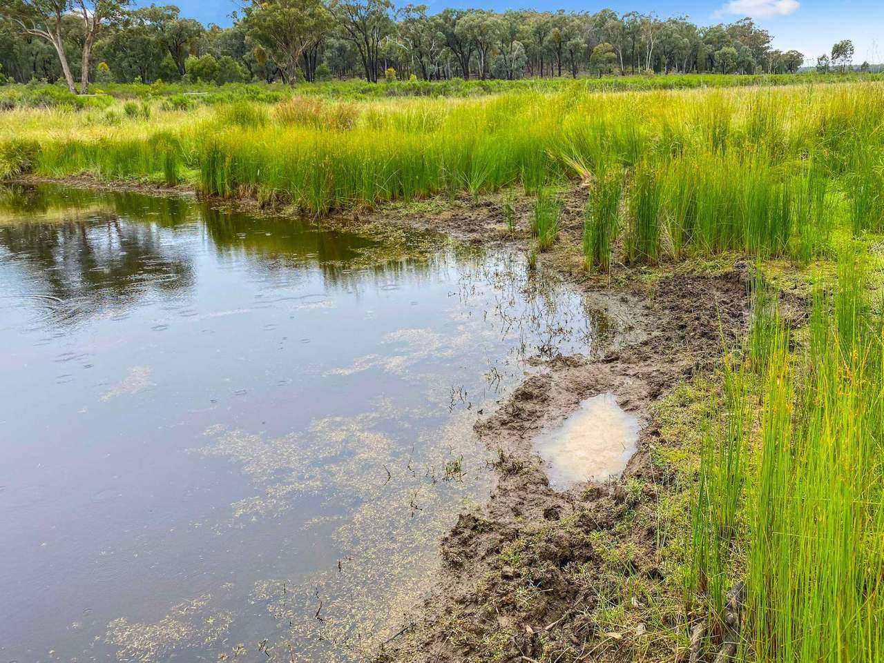 Cobbora For Sale by Farmbuy.com - image 18