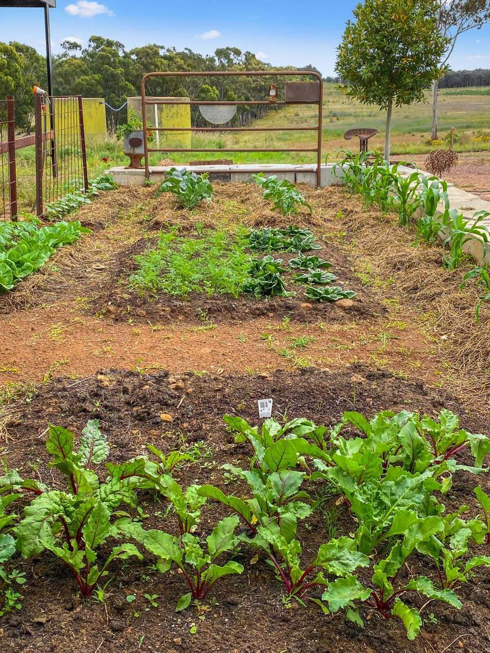 Cobbora For Sale by Farmbuy.com - image 11