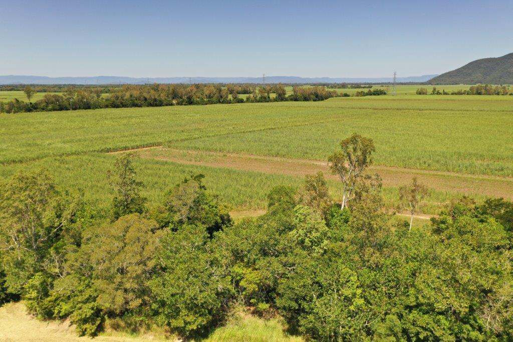 50950 Bruce Highway, Ingham Sold by Farmbuy.com - image 6