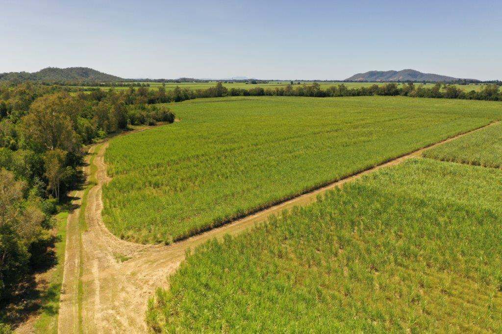 50950 Bruce Highway, Ingham Sold by Farmbuy.com - image 3
