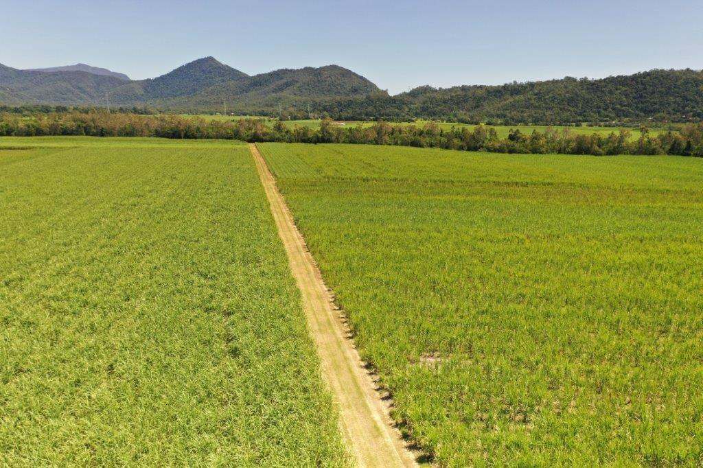 50950 Bruce Highway, Ingham Sold by Farmbuy.com - image 4