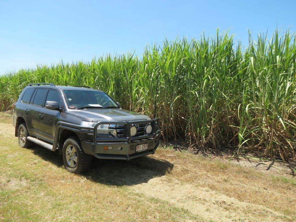 50950 Bruce Highway, Ingham Sold by Farmbuy.com - image 11