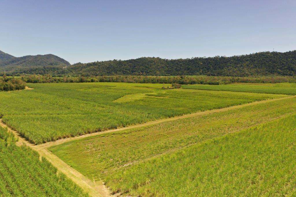 50950 Bruce Highway, Ingham Sold by Farmbuy.com - image 7