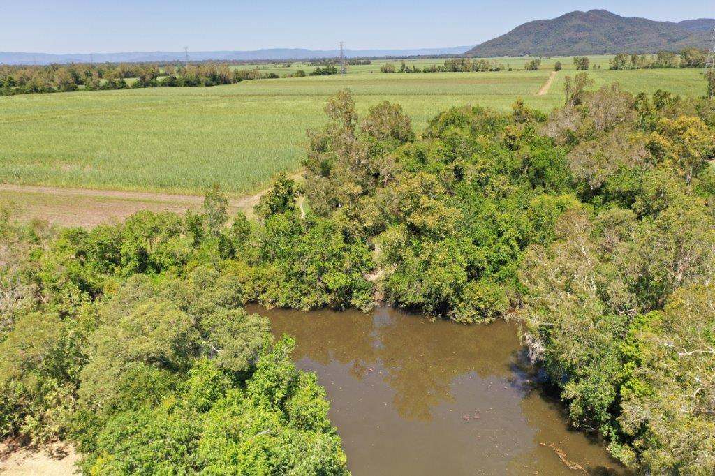50950 Bruce Highway, Ingham Sold by Farmbuy.com - image 2