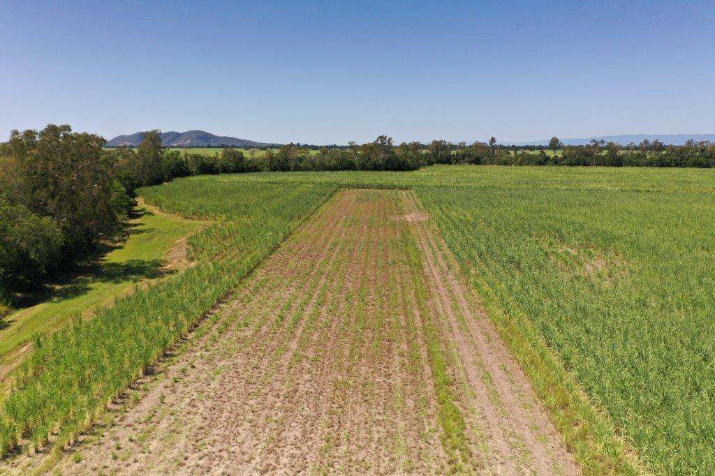 50950 Bruce Highway, Ingham Sold by Farmbuy.com - image 15