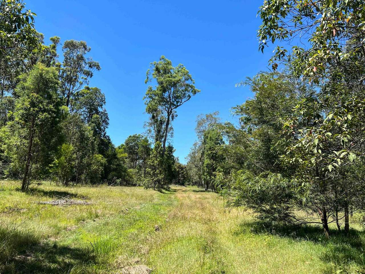 Mororo For Sale by Farmbuy.com - image 6
