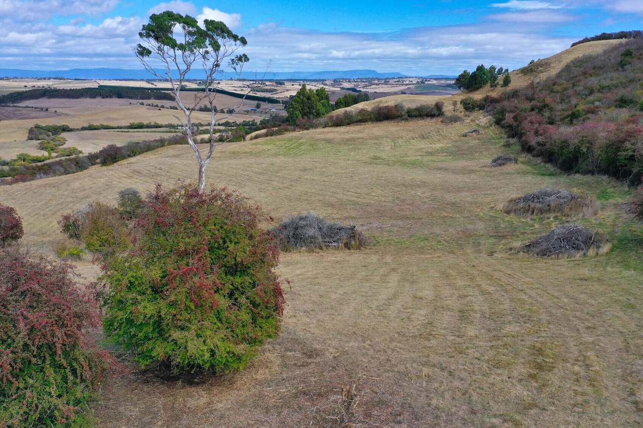 Lot 1 Everton Lane, White Hills Sold by Farmbuy.com - image 2