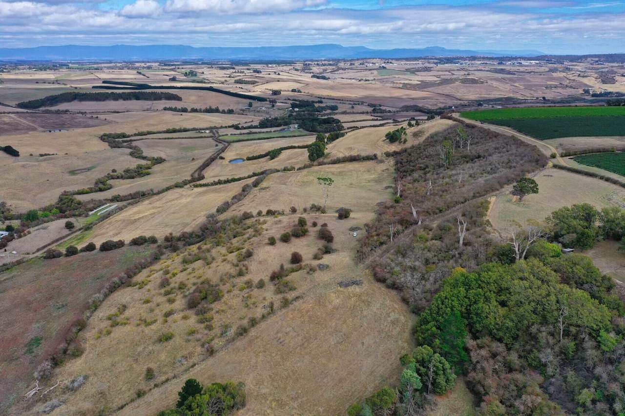 Lot 1 Everton Lane, White Hills Sold by Farmbuy.com - image 6
